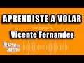 Vicente Fernandez - Aprendiste A Volar (Versión Karaoke)