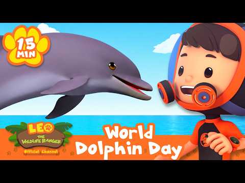 Have You Seen a Dolphin Before? It's World Dolphin Day! | Leo the Wildlife Ranger | Animal Cartoons - Kids TV Series, Kingdom Kids Zone - Leo the Wildlife Ranger - Official Channel