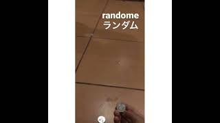 ランダムな動画。randome video.