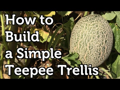 , title : 'How to Build a Simple Teepee Trellis'