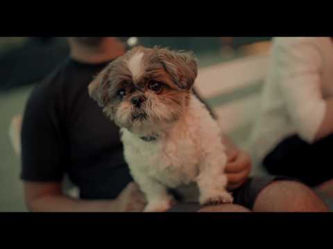 Audi Urban Cinema 2016