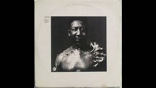 Muddy Waters – I Am The Blues