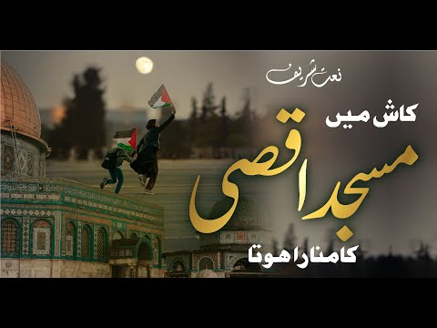 Kash Main Yaro Palestine ka Basi Hota | Anas Nazeer Heart Touching Voice | Islaahi Youth Islamic