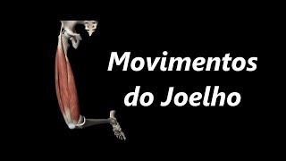 Movimentos do Joelho em 3D
