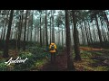 Thomas Jackson Den Inre Skogen