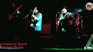 Busca otro Amor Los Cadetes de Linares de Lupe Tijerina en vivo  desde Nuevo Laredo