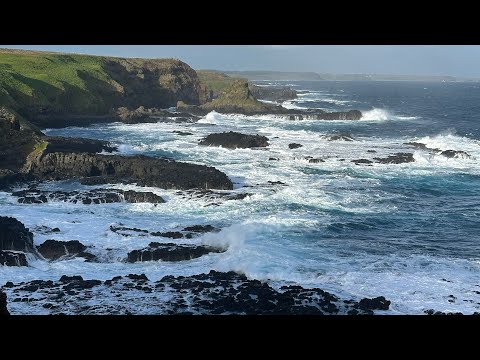 Phillip Island | Penguin Show  |  Melbourne | Australia