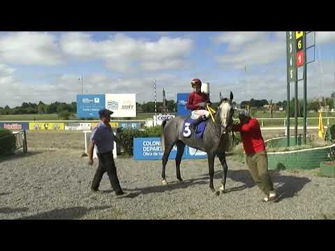 SINT COLONIA 17 DE FEBRERO 2022 c06