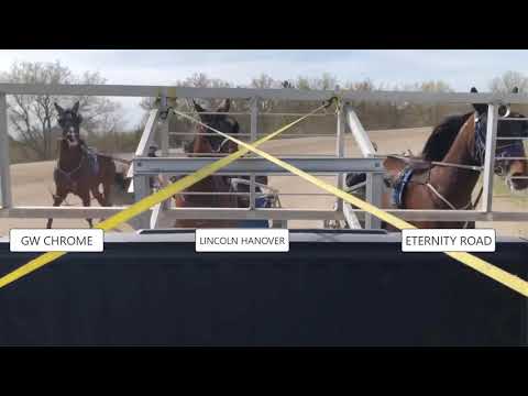 Gate training for 2-year-olds: May 6, 2020