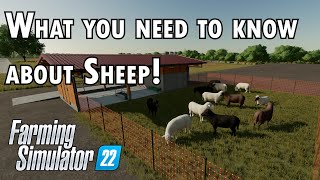 What you need to know about Sheep in Farming Simulator 22