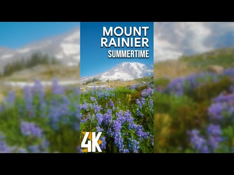 2HRS Relaxing Scenery + Nature Sounds for Tablets and iPhones - 4K Summer Day at Mount Rainier