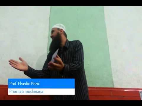 Vaganje između štete i dobra - Elvedin Pezić ﻿