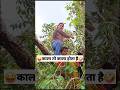Murari Shorts Keshav Shashi Vlogs Viral Trending Shorts Comedy Funny