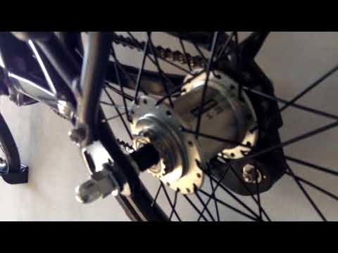 Dahon Curl i3 bei Beobike Gelsenkirchen