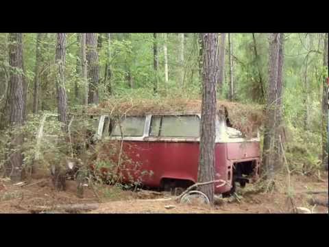 Thumbnail for 1971 Micro-Bus and Three Beetles - BARN FIND - FOUND IN THE WOODS OF SC by Volkswagen, Car, Van