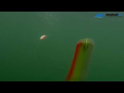 FLASHER and SOFTFISH in one RIG - Rhino Trolling