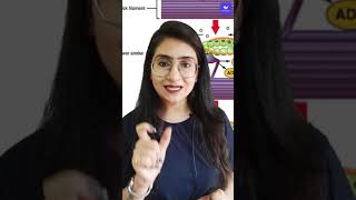 RIGOR MORTIS | CHANGES AFTER DEATH | Science facts #short #shorts #pradeepkshetrapal #vidyakul