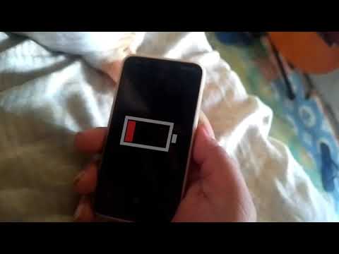 Cat wireless charger.