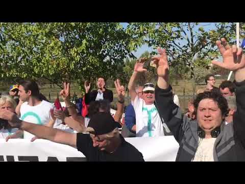 GUVERNUL A CĂZUT. Sărbătoare cu șampanie în fața Parlamentului