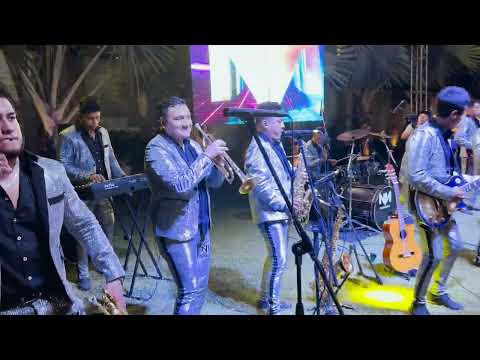 Popurrí de Sones: La malagueña curreña, el burro loco, El rumbero · Nemesys Los Reyes