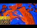 Full Hd Abstract Full Hd Graphics Full Hd 1080p Full Hd For Smart TV S Full Hd Technology Full Hd