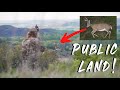 Hunting Public in S. Dakota | PERFECT SHOT!