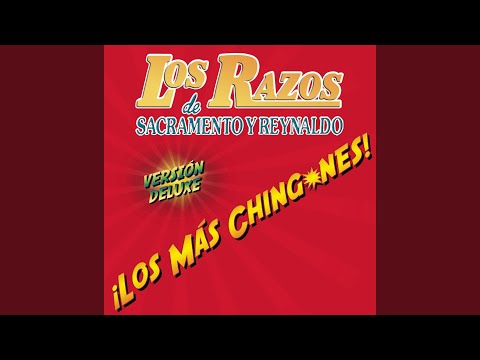 Cuando Anduve Como Perro