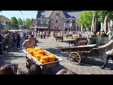 Dutch Daytrip Tip: the Alkmaar Cheese Market
