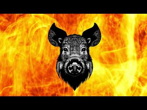 Jordan Tupper Night Hog live performance