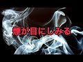 【 煙が目にしみる (Smoke Gets In Your Eyes) 】プラターズ（Cover）Tammy