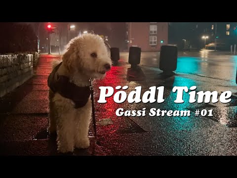 Pöddl Time! - Gassi Stream mit Mon #1
