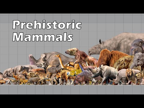 Size Comparison of Animals: the Prehistoric Mammals