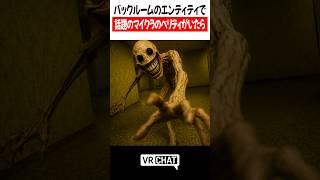 バックルームのエンティティで話題のマイクラのベリティがいたら【MINECRAFT】#minecraft   #VRChat #vrchatlife