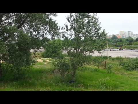 KJS sw.Krzysztofa Bemowo