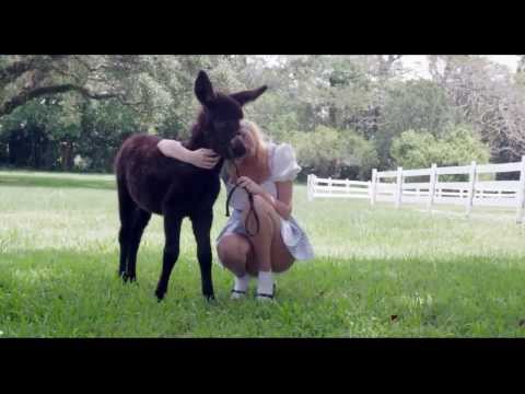 Mademoiselle C ~ Documentary Trailer