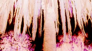 2100 ABSTRACT (RUN THE JEWELS) #PRJCT1