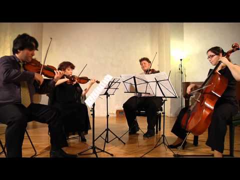 Israel Haydn Quartet: Haydn Op 50 No 1 3rd Movement - Menuetto