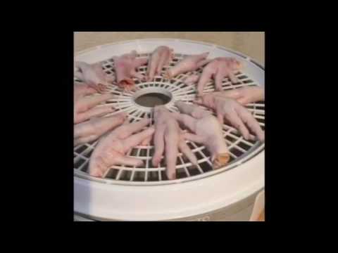 download lagu mp3 mp4 Dehydrated Chicken Feet, download lagu Dehydrated Chicken Feet gratis, unduh video klip Dehydrated Chicken Feet