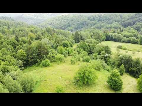 Pensiunea Poiana Marului - Bisoca filmare DJI Mini SE