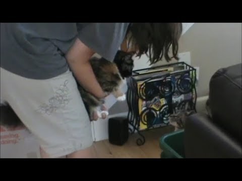 Being The New Cat In Town Is Hard