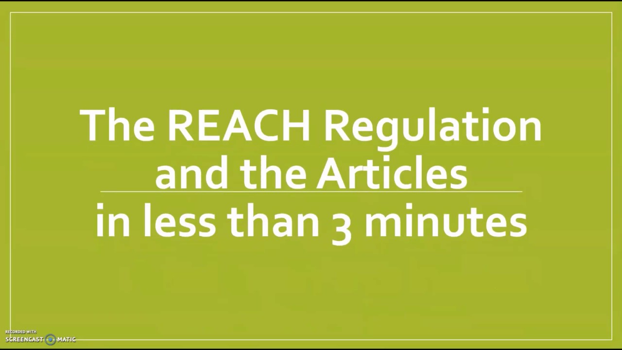 The EU REACH Regulation and the Articles