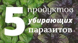 ТОП 5 Продуктов Убирающих Паразитов Навсегда. Как быстро вывести паразитов