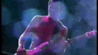 RHCP - Walkabout Live