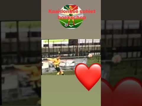 Hoekschop voor VV Rijen door Lisanne de Geus