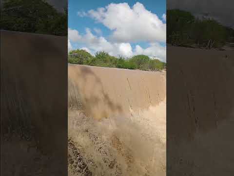 MUITA CHUVA NO SERTÃO E AGRESTE PERNAMBUCANO #entretenimento