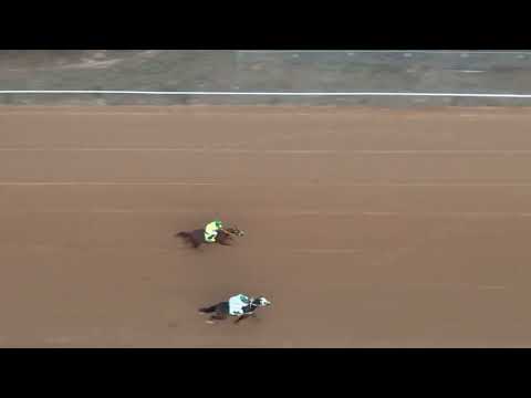 El Guason Cuadra Carolina vs El Tequila Cuadra Piedreros