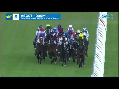 OVERPASS - Winterbottom Stakes (3YO+ G1) Group 1 Ascot 2 December