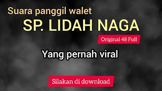 Download lagu Suara walet SP Lidah Naga Original mp3