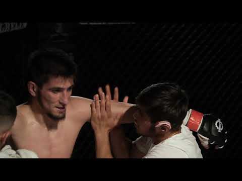 Aggrelin 28 - Highlights