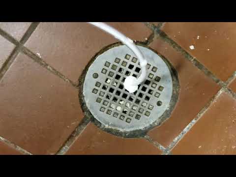 Forgotten Drains Breed Drain Flies in Brielle, NJ